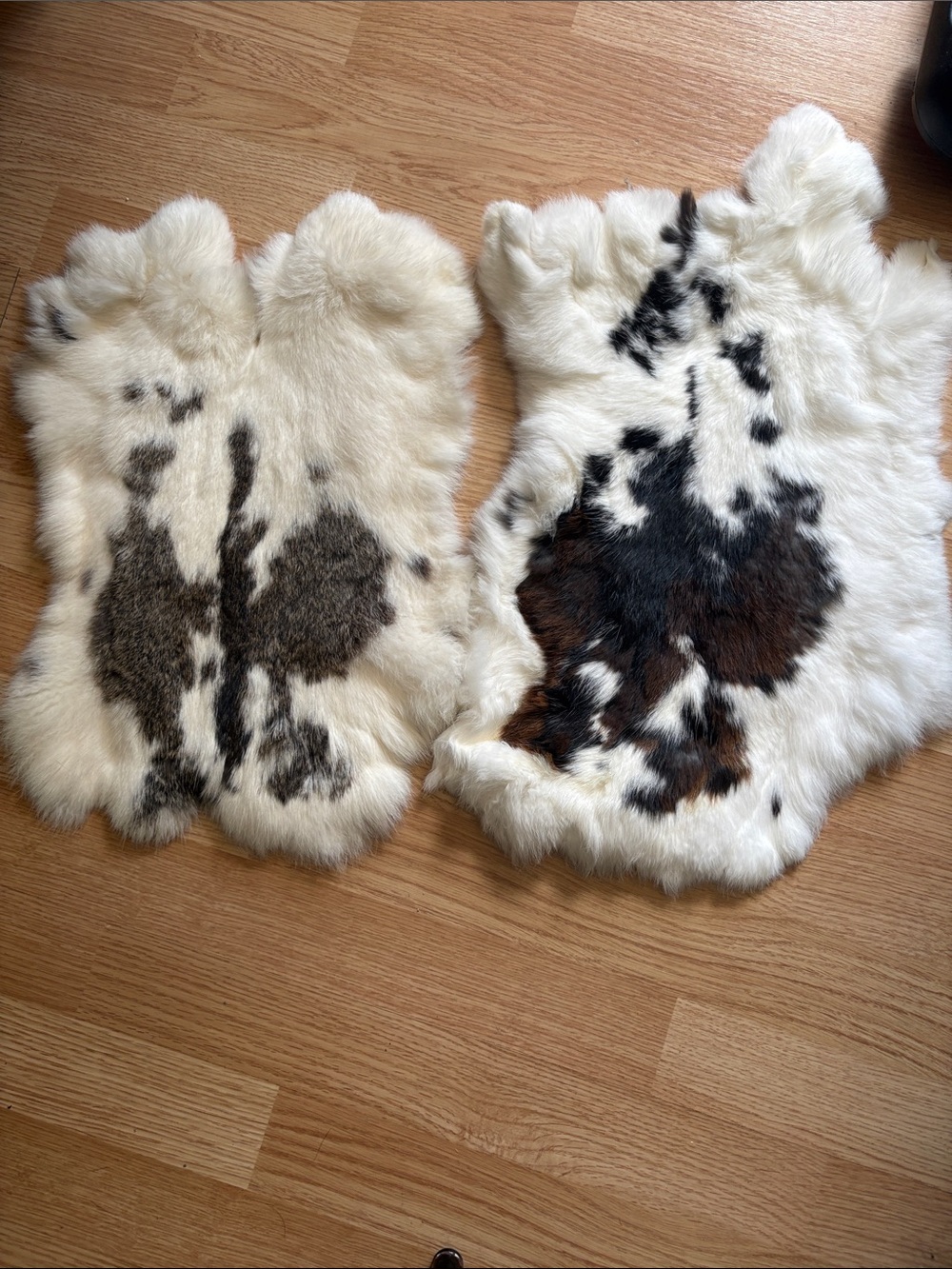 B0187 pair rabbit pelts